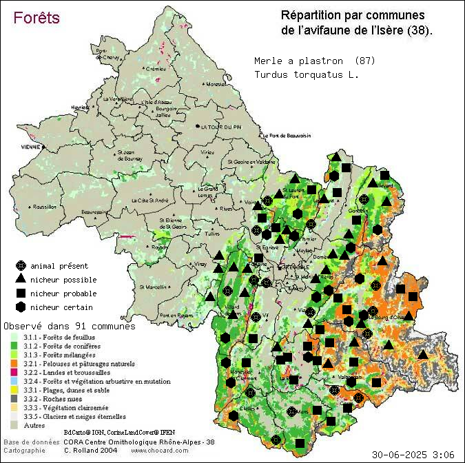 Carte de rpartition par communes en Isre d'une espce d'animal: Merle  plastron (Turdus torquatus L.) selon Forts