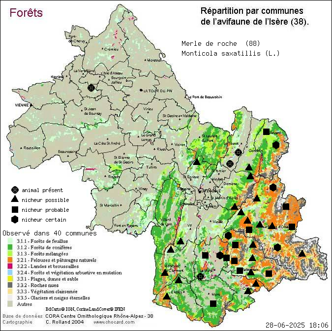 Merle de roche (Monticola saxatillis (L.)): carte de rpartition en Isre