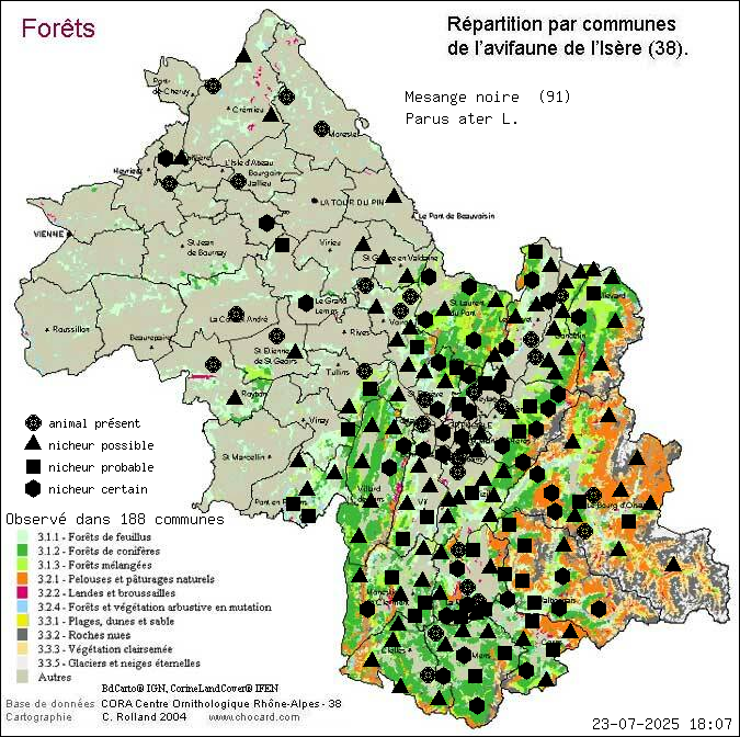 Msange noire (Parus ater L.): carte de rpartition en Isre