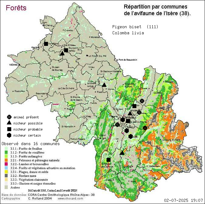 Pigeon biset (Colomba livia): carte de rpartition en Isre