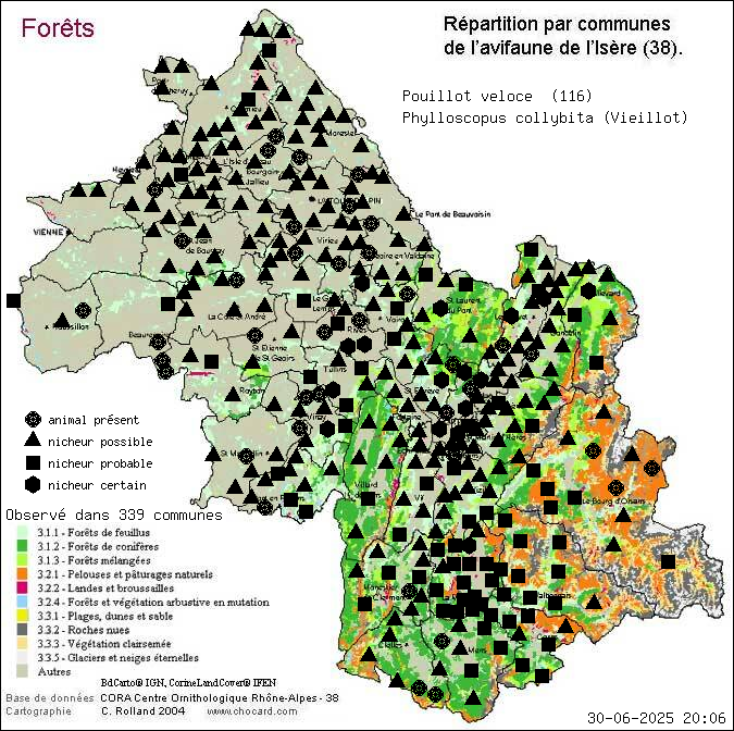 Pouillot vloce (Phylloscopus collybita (Vieillot)): carte de rpartition en Isre