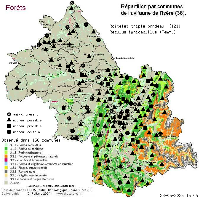 Roitelet triple-bandeau (Regulus ignicapillus (Temm.)): carte de rpartition en Isre