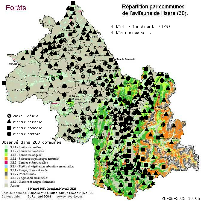 Sittelle torchepot (Sitta europaea L.): carte de rpartition en Isre