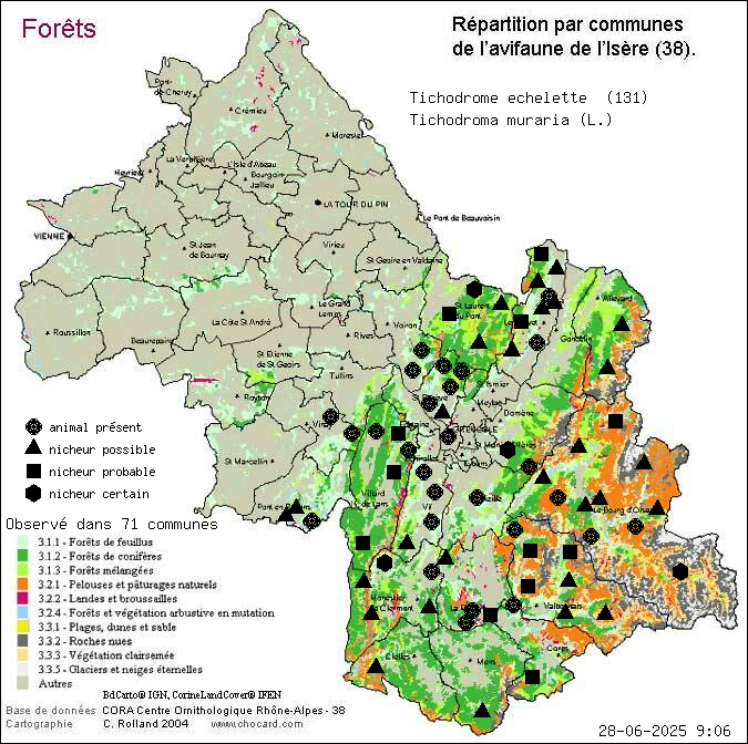 Tichodrome chelette (Tichodroma muraria (L.)): carte de rpartition en Isre