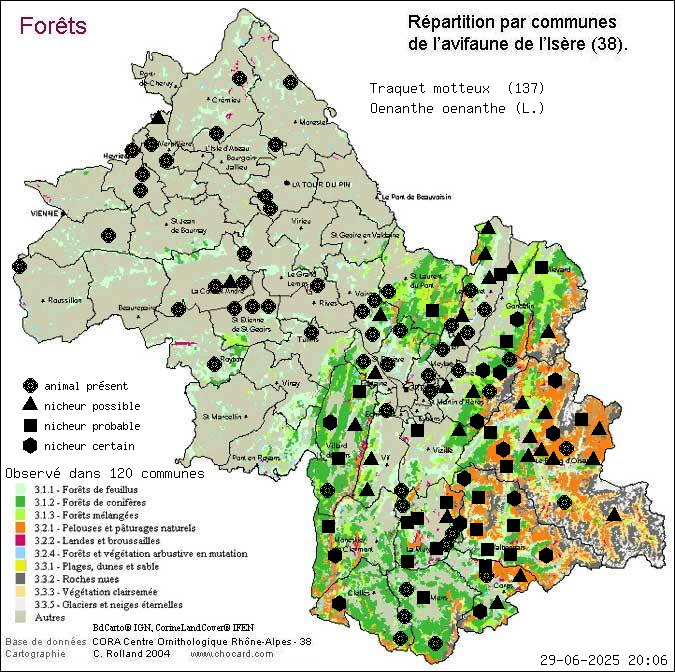 Traquet motteux (Oenanthe oenanthe (L.)): carte de rpartition en Isre