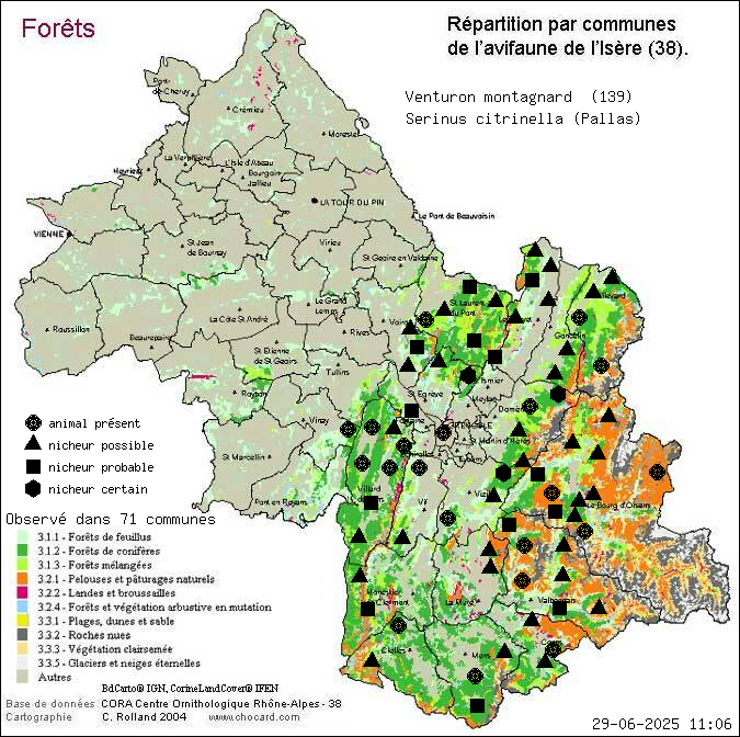 Venturon montagnard (Serinus citrinella (Pallas)): carte de rpartition en Isre