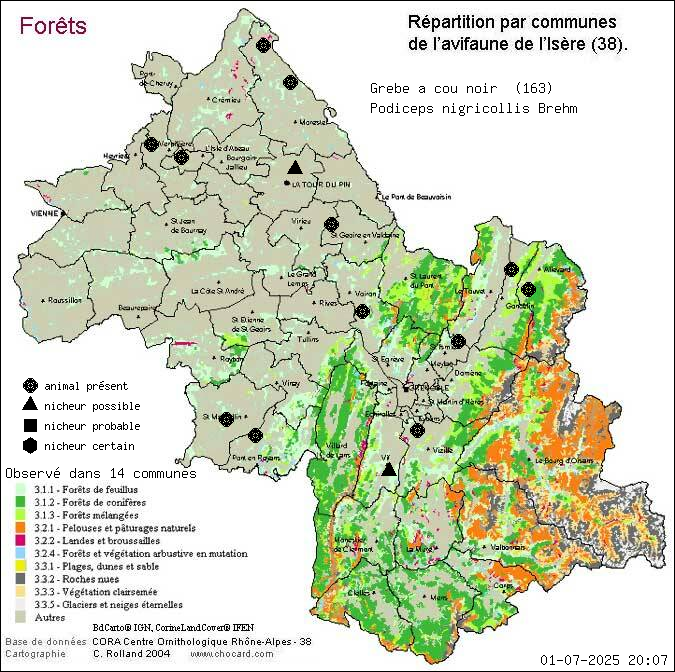 Grbe  cou noir (Podiceps nigricollis Brehm): carte de rpartition en Isre