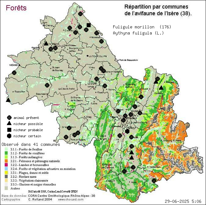 Fuligule morillon (Aythyna fuligula (L.)): carte de rpartition en Isre