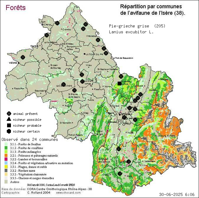 Pie-griche grise (Lanius excubitor L.): carte de rpartition en Isre