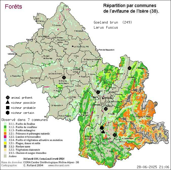 Goland brun (Larus fuscus): carte de rpartition en Isre