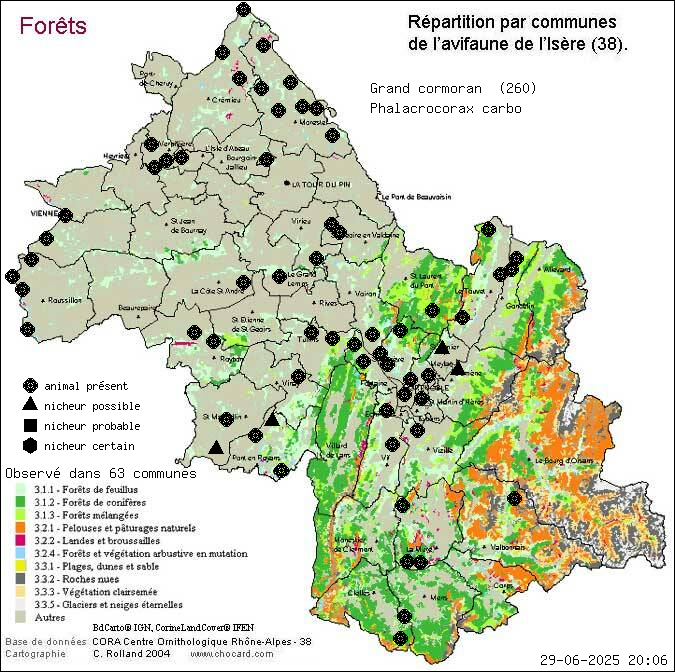 Grand cormoran (Phalacrocorax carbo): carte de rpartition en Isre