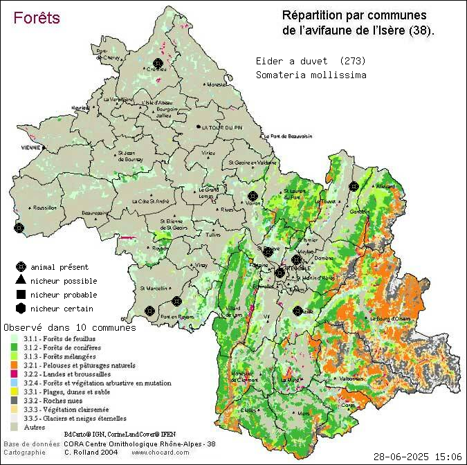 Eider  duvet (Somateria mollissima): carte de rpartition en Isre