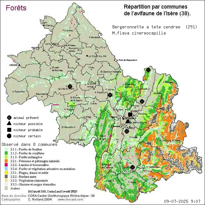 Bergeronnette  tte cendre (M.flava cinereocapilla): carte de rpartition en Isre