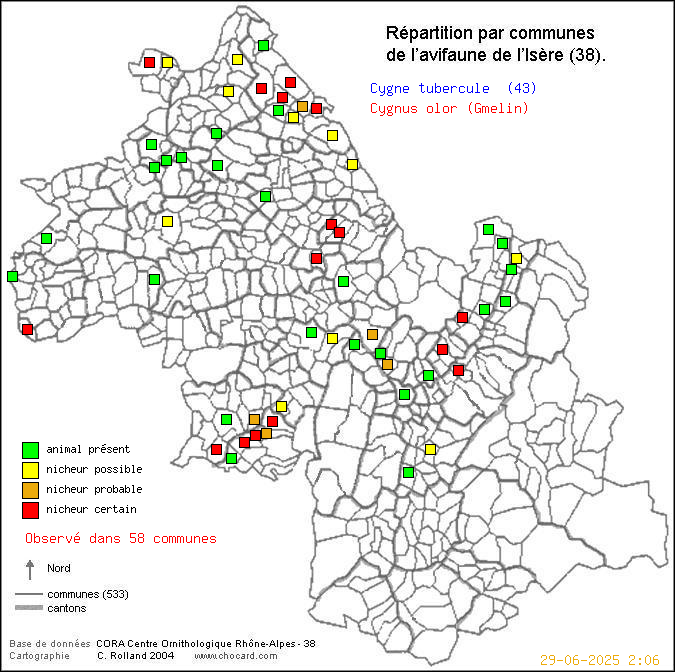 Cygne tubercul (Cygnus olor (Gmelin)): carte de rpartition en Isre