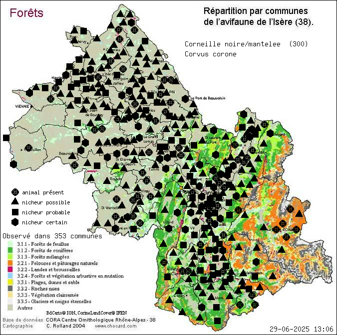 Corneille noire/mantele (Corvus corone): carte de rpartition en Isre