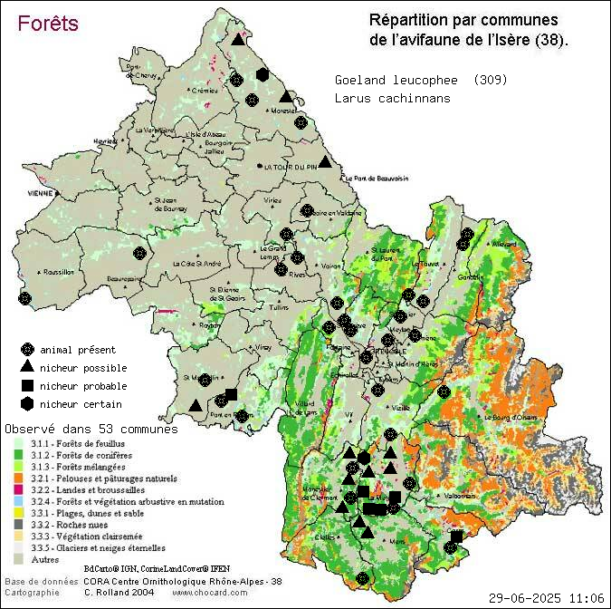 Goland leucophe (Larus cachinnans): carte de rpartition en Isre