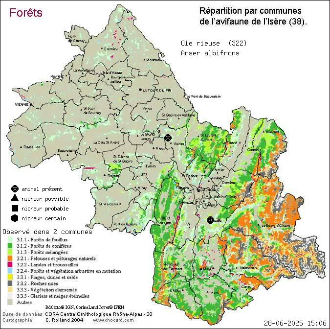 Oie rieuse (Anser albifrons): carte de rpartition en Isre