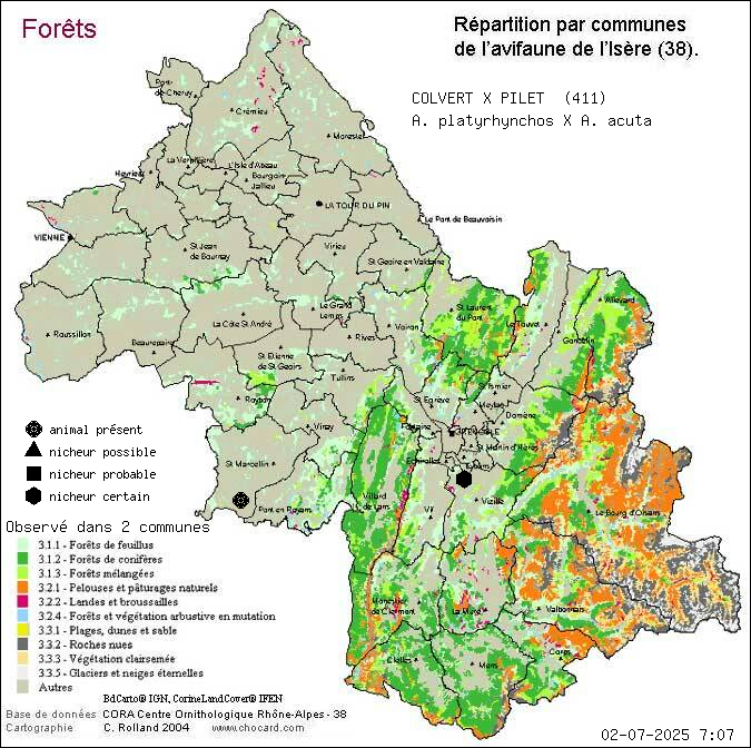 Carte de rpartition par communes en Isre d'une espce d'animal: COLVERT X PILET (A. platyrhynchos X A. acuta) selon Forts