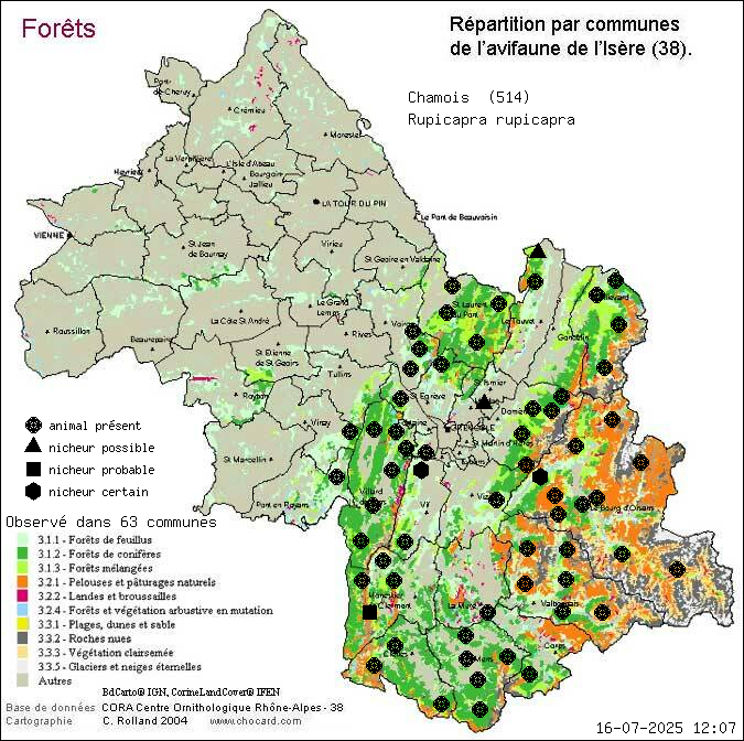 Carte de rpartition par communes en Isre d'une espce d'animal: Chamois (Rupicapra rupicapra) selon Forts