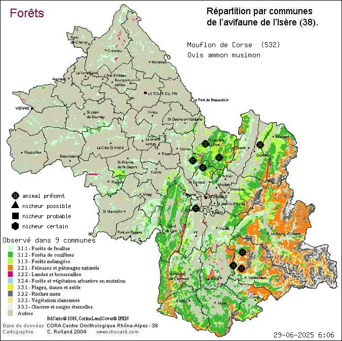 Carte de rpartition par communes en Isre d'une espce d'animal: Mouflon de Corse (Ovis ammon musimon) selon Forts