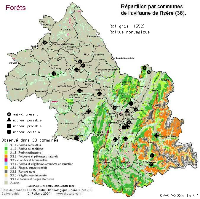 Carte de rpartition par communes en Isre d'une espce d'animal: Rat gris (Rattus norvegicus) selon Forts