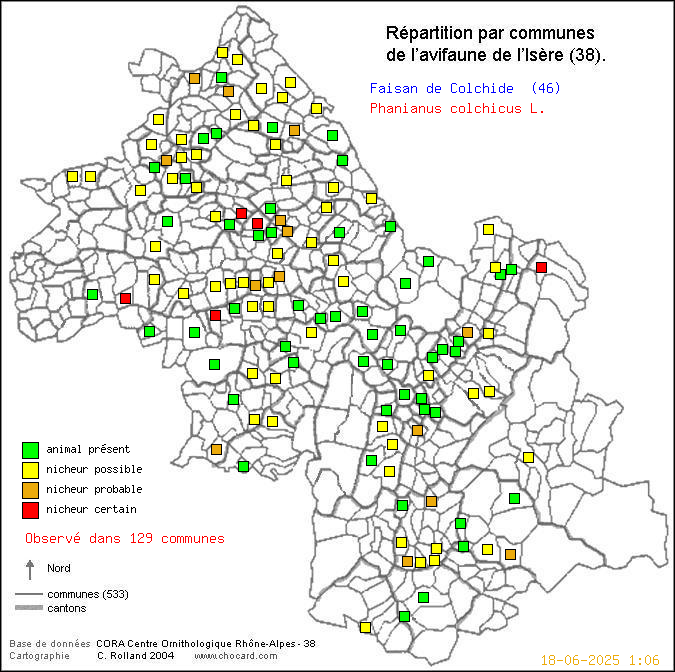Carte de rpartition par communes en Isre d'une espce d'oiseau: Faisan de Colchide (Phanianus colchicus L.) selon Communes et cantons