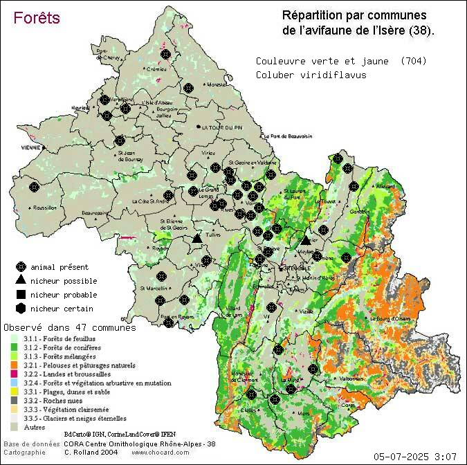Carte de rpartition par communes en Isre d'une espce d'animal: Couleuvre verte et jaune (Coluber viridiflavus) selon Forts