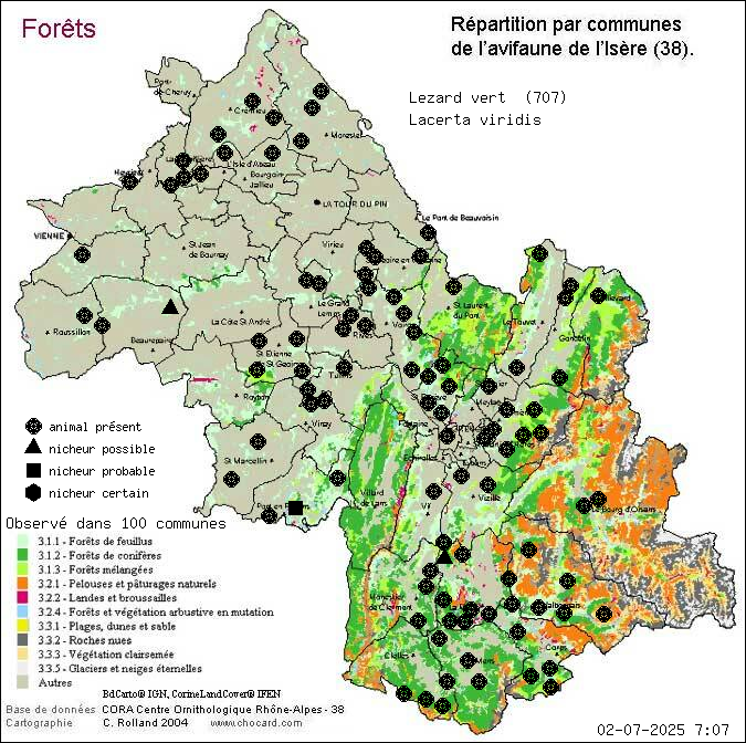 Carte de rpartition par communes en Isre d'une espce d'animal: Lzard vert (Lacerta viridis) selon Forts