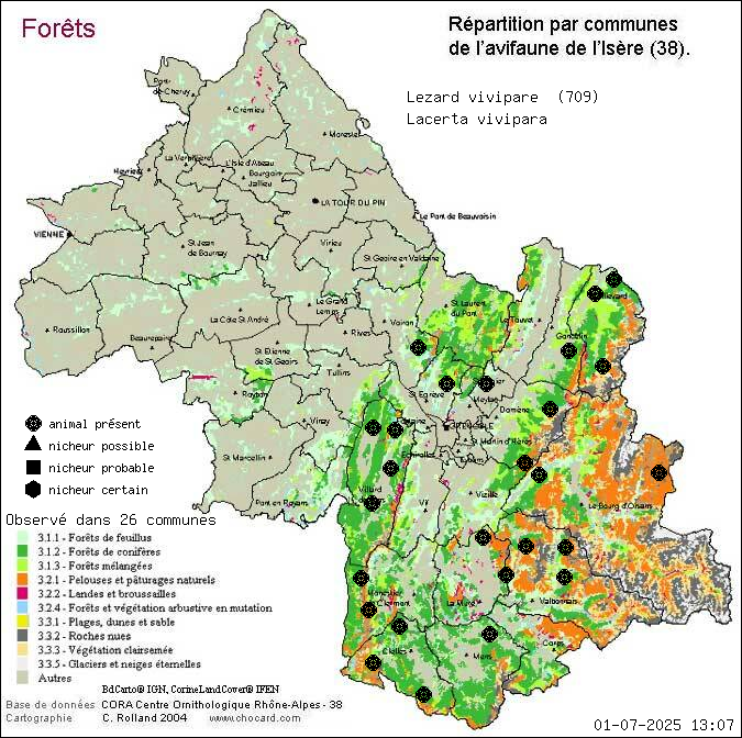 Carte de rpartition par communes en Isre d'une espce d'animal: Lzard vivipare (Lacerta vivipara) selon Forts