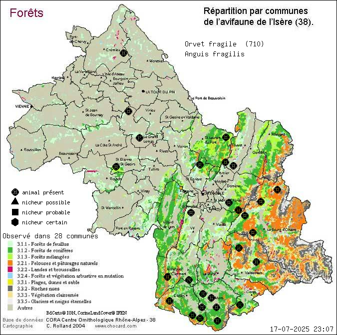 Orvet fragile (Anguis fragilis): carte de rpartition en Isre