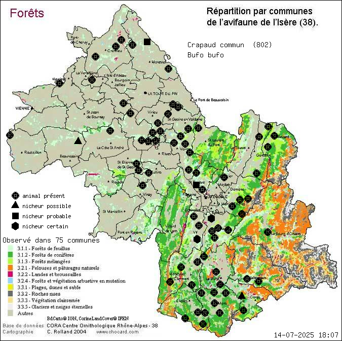 Carte de rpartition par communes en Isre d'une espce d'animal: Crapaud commun (Bufo bufo) selon Forts