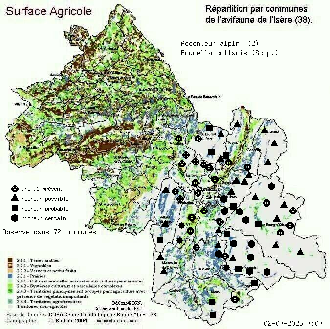 Accenteur alpin (Prunella collaris (Scop.)): carte de rpartition en Isre