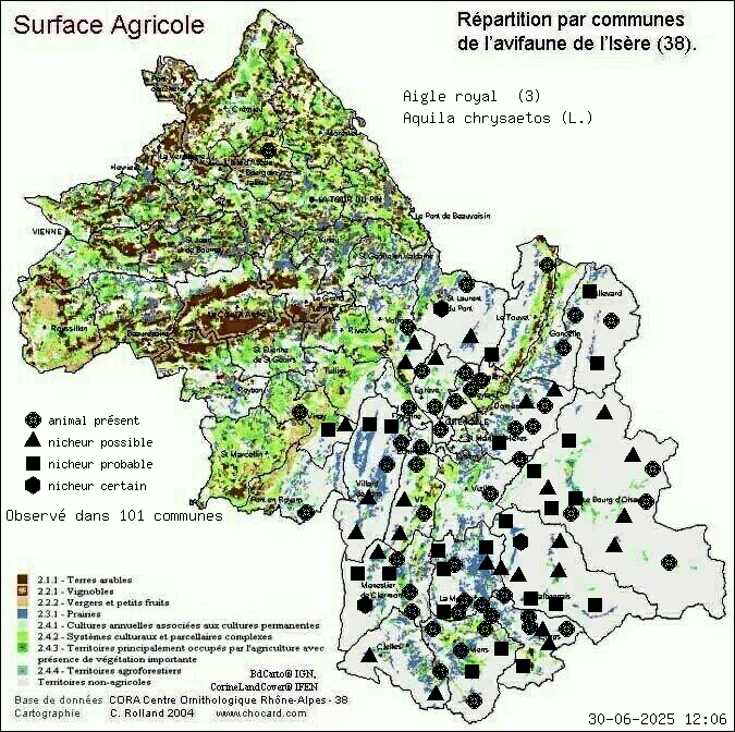 Aigle royal (Aquila chrysaetos (L.)): carte de rpartition en Isre