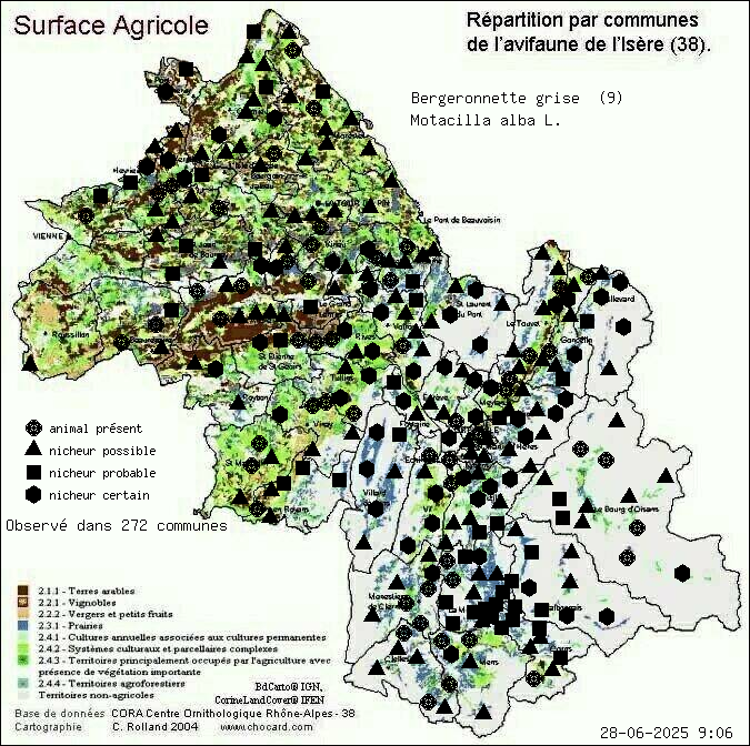 Bergeronnette grise (Motacilla alba L.): carte de rpartition en Isre