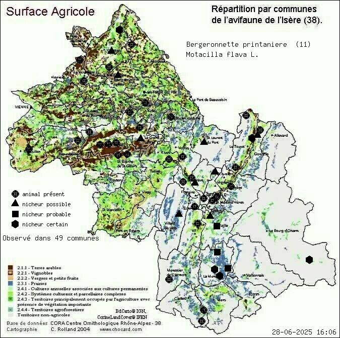 Bergeronnette printanire (Motacilla flava L.): carte de rpartition en Isre