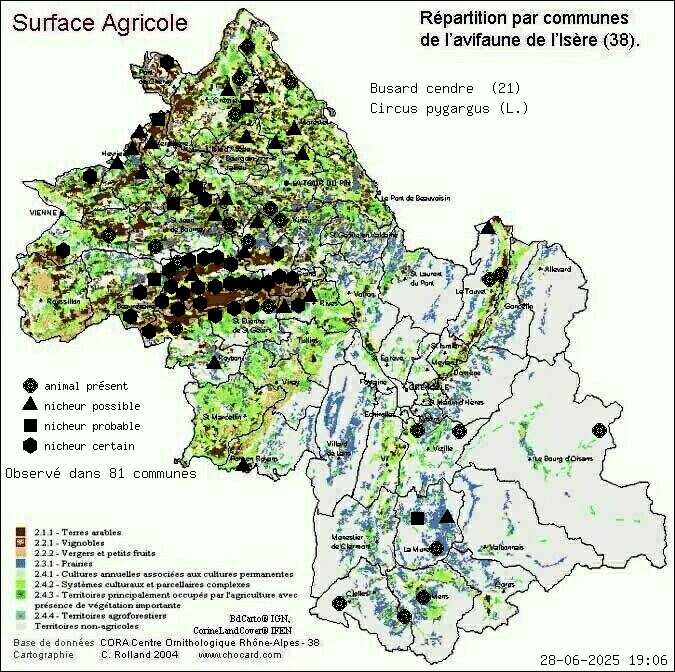 Busard cendr (Circus pygargus (L.)): carte de rpartition en Isre