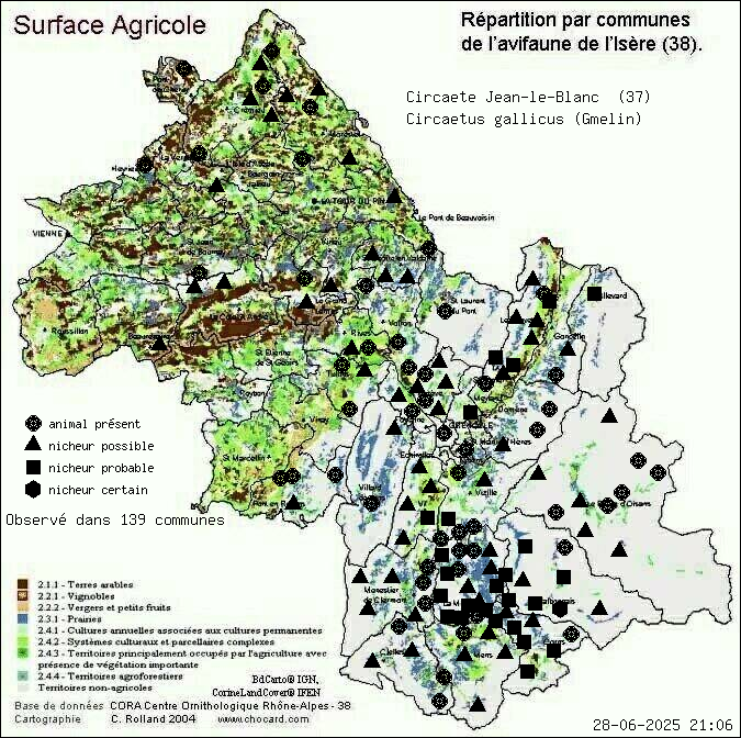 Circate Jean-le-Blanc (Circaetus gallicus (Gmelin)): carte de rpartition en Isre