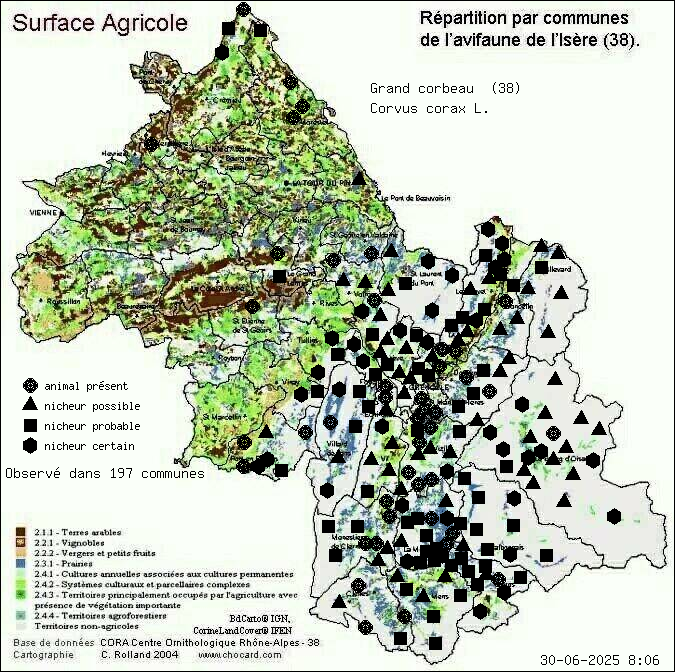 Grand corbeau (Corvus corax L.): carte de rpartition en Isre