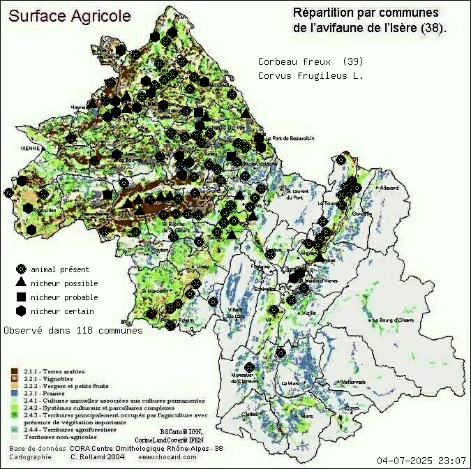 Corbeau freux (Corvus frugileus L.): carte de rpartition en Isre