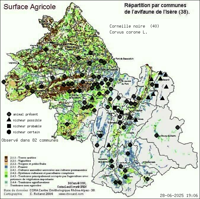 Corneille noire (Corvus corone L.): carte de rpartition en Isre