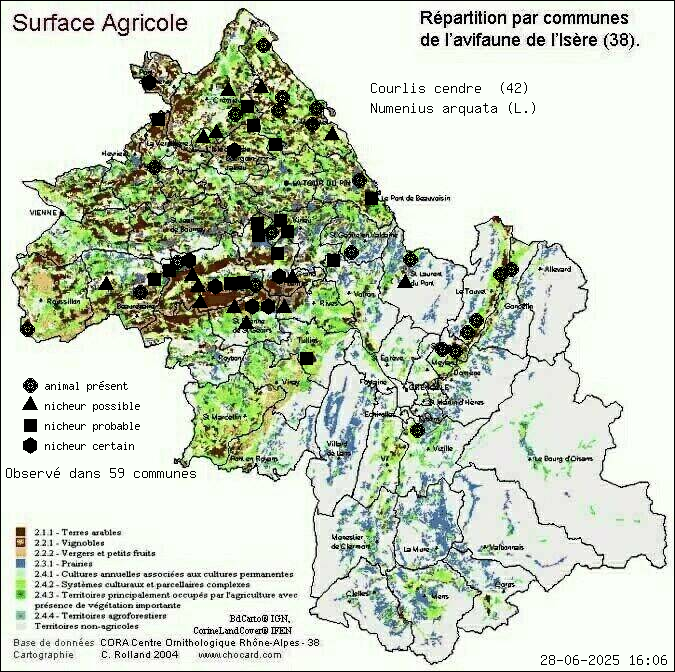 Courlis cendr (Numenius arquata (L.)): carte de rpartition en Isre