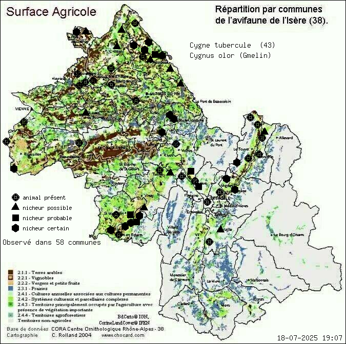 Carte de rpartition par communes en Isre d'une espce d'animal: Cygne tubercul (Cygnus olor (Gmelin)) selon Agriculture