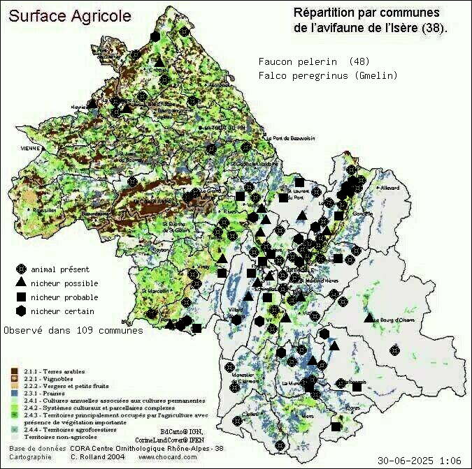 Faucon plerin (Falco peregrinus (Gmelin)): carte de rpartition en Isre