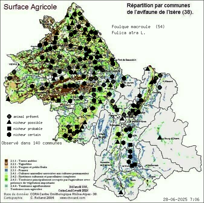 Foulque macroule (Fulica atra L.): carte de rpartition en Isre