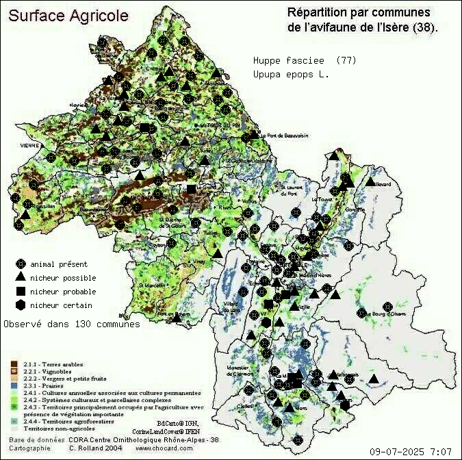 Huppe fascie (Upupa epops L.): carte de rpartition en Isre