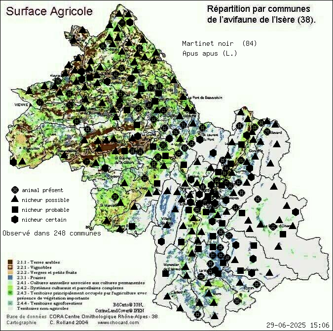 Martinet noir (Apus apus (L.)): carte de rpartition en Isre