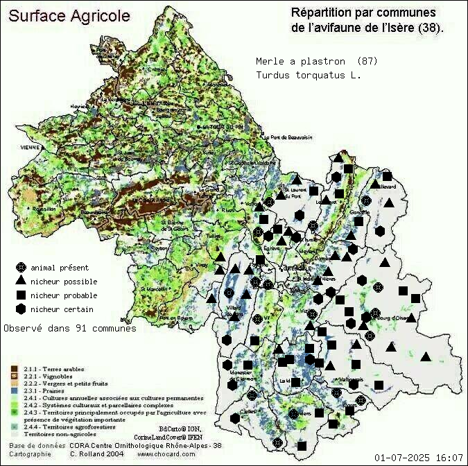 Merle  plastron (Turdus torquatus L.): carte de rpartition en Isre