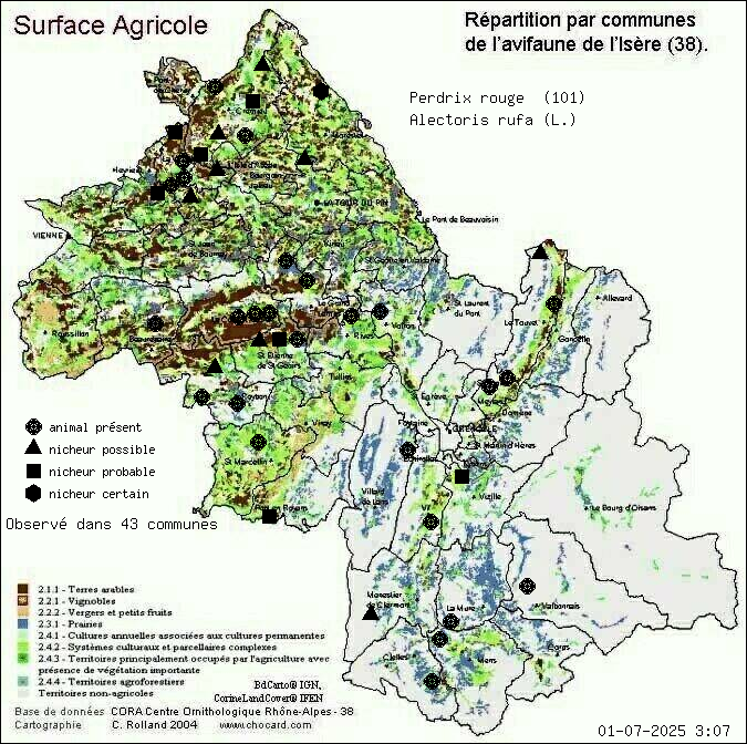 Perdrix rouge (Alectoris rufa (L.)): carte de rpartition en Isre