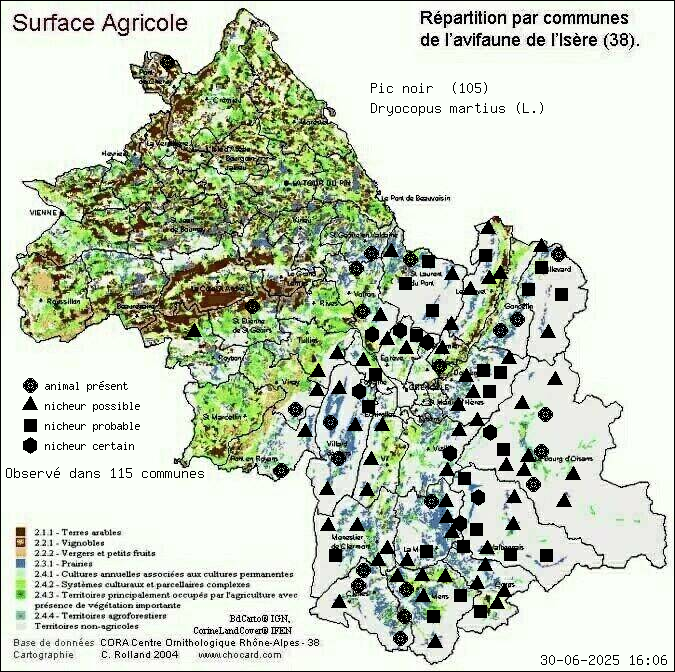 Pic noir (Dryocopus martius (L.)): carte de rpartition en Isre