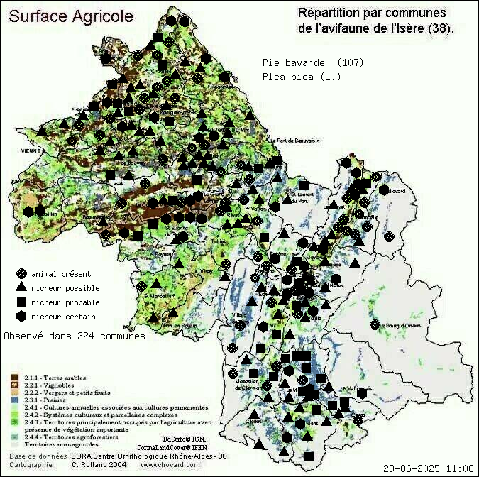 Carte de rpartition par communes en Isre d'une espce d'animal: Pie bavarde (Pica pica (L.)) selon Agriculture